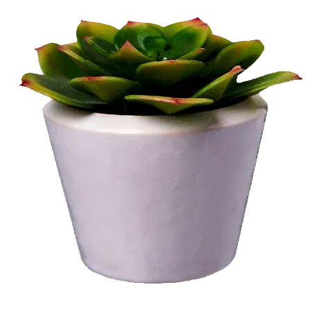 Цветы и уход за цветами | «Альпина-Маркет»